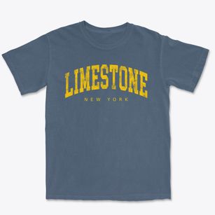 Limestone New York Urban Vibe Premium Heavyweight T-shirt