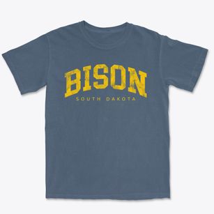 Bison South Dakota Urban Vibe Premium Heavyweight T-shirt