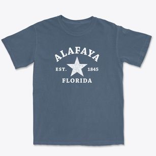 Alafaya Florida Star Premium Heavyweight T-shirt