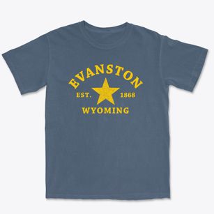 Evanston Wyoming Star Premium Heavyweight T-shirt