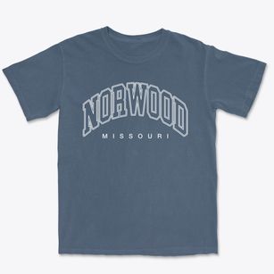 Norwood Missouri Inline Premium Heavyweight T-shirt