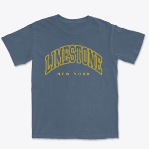 Limestone New York Inline Premium Heavyweight T-shirt
