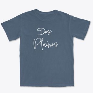 Des Plaines Illinois Freestyle Premium Heavyweight T-shirt