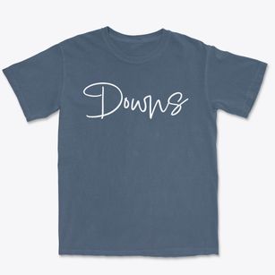 Downs Illinois Freestyle Premium Heavyweight T-shirt