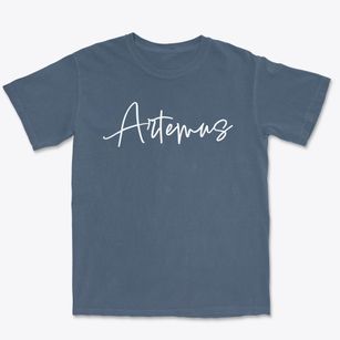 Artemus Kentucky Freestyle Premium Heavyweight T-shirt