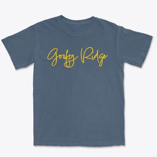 Goofy Ridge Illinois Freestyle Premium Heavyweight T-shirt