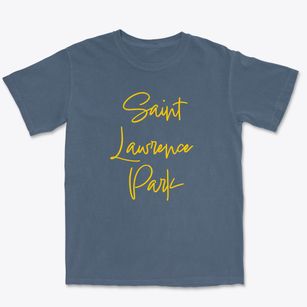 Saint Lawrence Park New York Freestyle Premium Heavyweight T-shirt