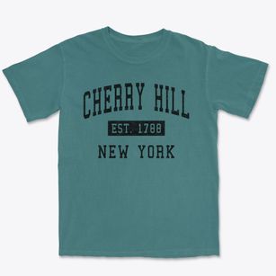 Cherry Hill New York Classic Established Premium Heavyweight T-shirt
