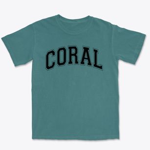 Coral Academy Of Science Las Vegas Varsity Arch Premium Heavyweight T-shirt