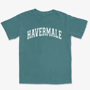 Havermale Alternative Center Varsity Arch Premium Heavyweight T-shirt