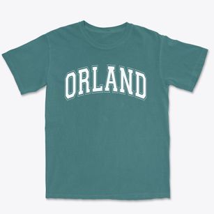 Orland Center Elementary School Varsity Arch Premium Heavyweight T-shirt