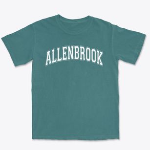 Allenbrook Elementary School Varsity Arch Premium Heavyweight T-shirt