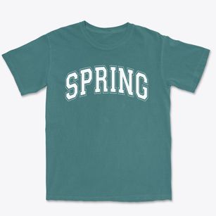 Spring Elementary School Varsity Arch Premium Heavyweight T-shirt