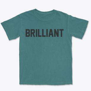 Brilliant Alabama Classic Block Premium Heavyweight T-shirt