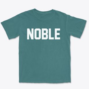 Noble Illinois Classic Block Premium Heavyweight T-shirt