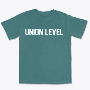 Union Level Virginia Classic Block Premium Heavyweight T-shirt