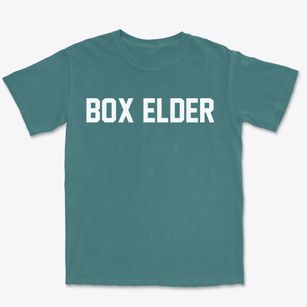 Box Elder South Dakota Classic Block Premium Heavyweight T-shirt