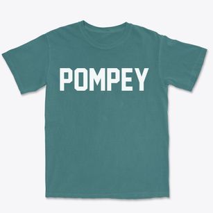 Pompey New York Classic Block Premium Heavyweight T-shirt