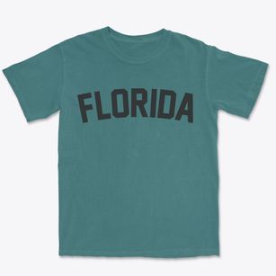 Florida Ohio Classic Curve Premium Heavyweight T-shirt