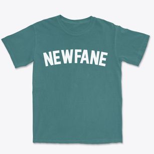 Newfane Vermont Classic Curve Premium Heavyweight T-shirt