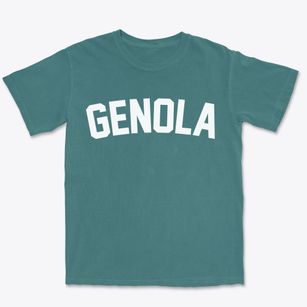 Genola Utah Classic Curve Premium Heavyweight T-shirt