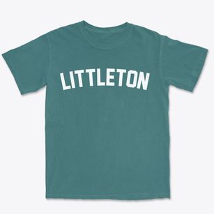 Littleton North Carolina Classic Curve Premium Heavyweight T-shirt