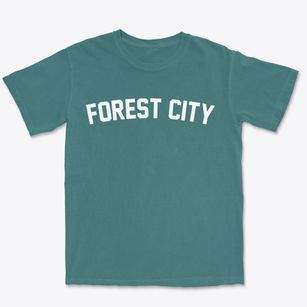 Forest City North Carolina Classic Curve Premium Heavyweight T-shirt