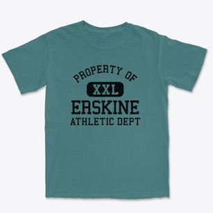 Erskine Minnesota Athletic Dept Premium Heavyweight T-shirt