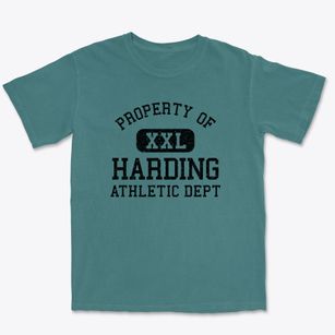 Harding Wisconsin Athletic Dept Premium Heavyweight T-shirt