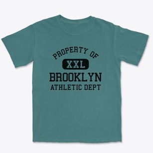 Brooklyn Ohio Athletic Dept Premium Heavyweight T-shirt