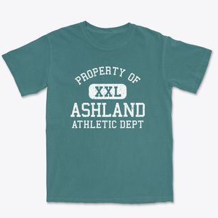 Ashland New York Athletic Dept Premium Heavyweight T-shirt