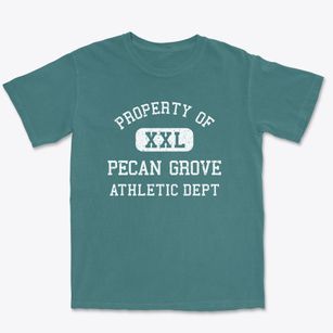 Pecan Grove Texas Athletic Dept Premium Heavyweight T-shirt