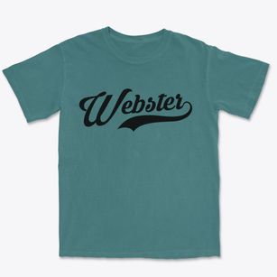 Webster South Dakota Vintage Team Premium Heavyweight T-shirt