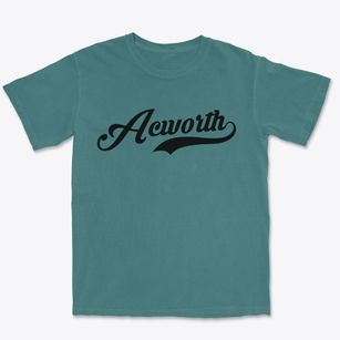 Acworth New Hampshire Vintage Team Premium Heavyweight T-shirt