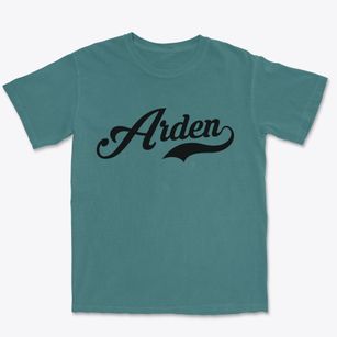Arden Delaware Vintage Team Premium Heavyweight T-shirt