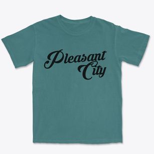 Pleasant City Ohio Vintage Team Premium Heavyweight T-shirt