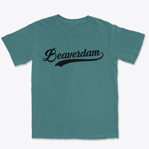 Beaverdam Ohio Vintage Team Premium Heavyweight T-shirt