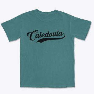 Caledonia Missouri Vintage Team Premium Heavyweight T-shirt