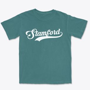 Stamford Connecticut Vintage Team Premium Heavyweight T-shirt