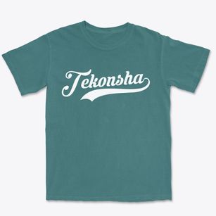 Tekonsha Michigan Vintage Team Premium Heavyweight T-shirt
