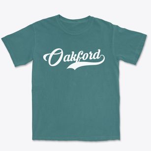 Oakford Illinois Vintage Team Premium Heavyweight T-shirt