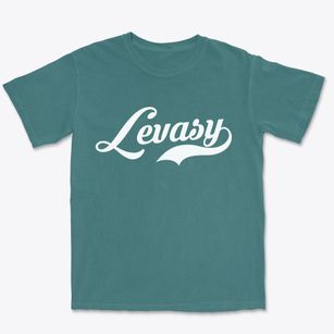 Levasy Missouri Vintage Team Premium Heavyweight T-shirt