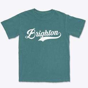 Brighton Michigan Vintage Team Premium Heavyweight T-shirt