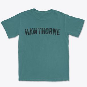 Hawthorne Florida Timeless Retro Premium Heavyweight T-shirt