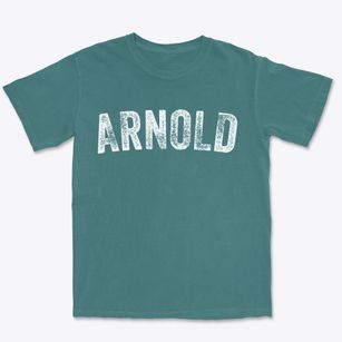 Arnold Missouri Timeless Retro Premium Heavyweight T-shirt