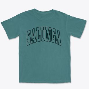 Salunga Pennsylvania Trendy Block Premium Heavyweight T-shirt