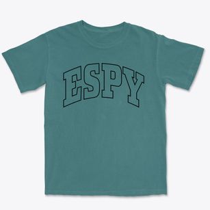 Espy Pennsylvania Trendy Block Premium Heavyweight T-shirt