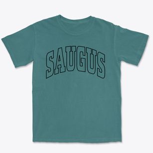Saugus Massachusetts Trendy Block Premium Heavyweight T-shirt