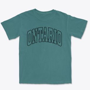 Ontario Wisconsin Trendy Block Premium Heavyweight T-shirt
