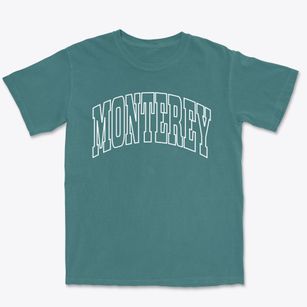 Monterey Virginia Trendy Block Premium Heavyweight T-shirt